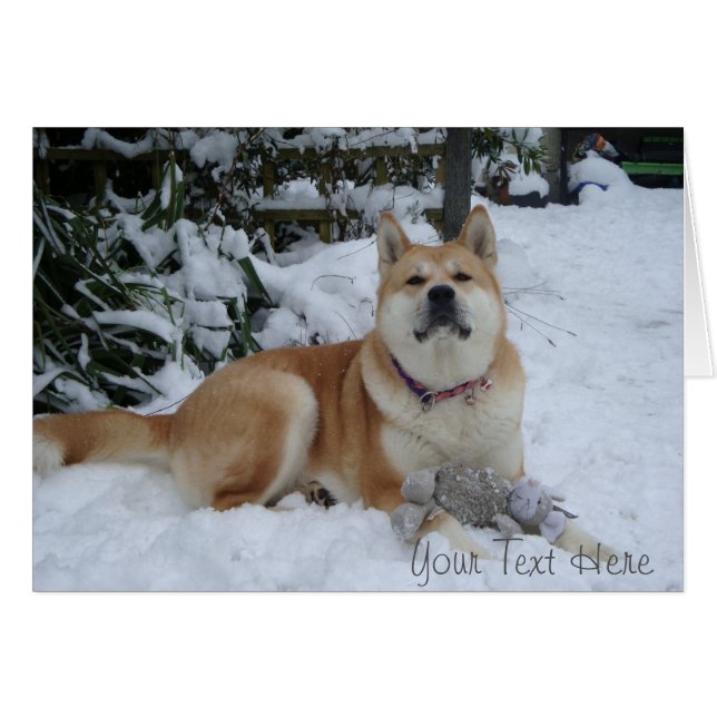 Cute akita snö scen med grått mus leksak OBS kort (Framsidan Horizontal)