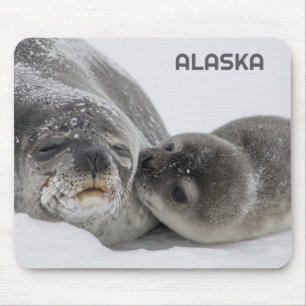 Cute Alaska Baby Seal och Mamma Mouse Pad Musmatta