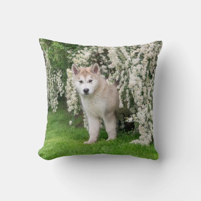 Cute Alaska Malamute Hund Puppy in Flowers Photo Kudde (Framsida)