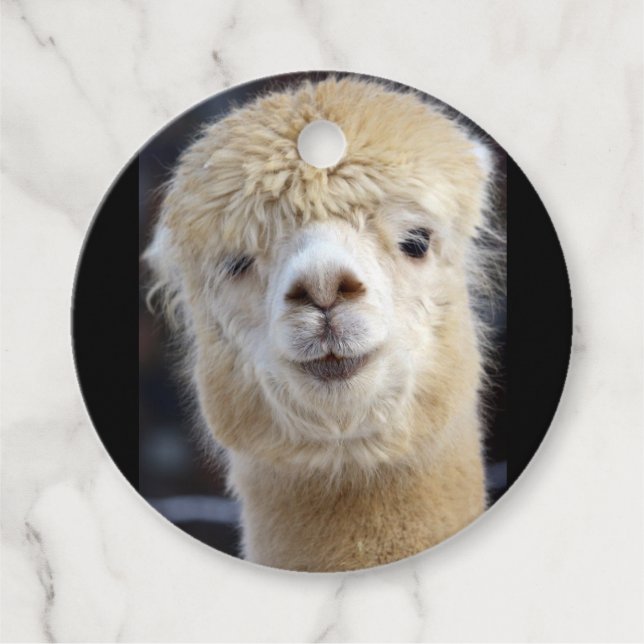 Cute Alpaca ansikte Gåvor Etiketter (Framsida)