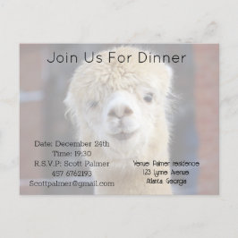 Cute Alpaca ansikte Inbjudan Vykort
