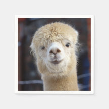 Cute Alpaca ansikte