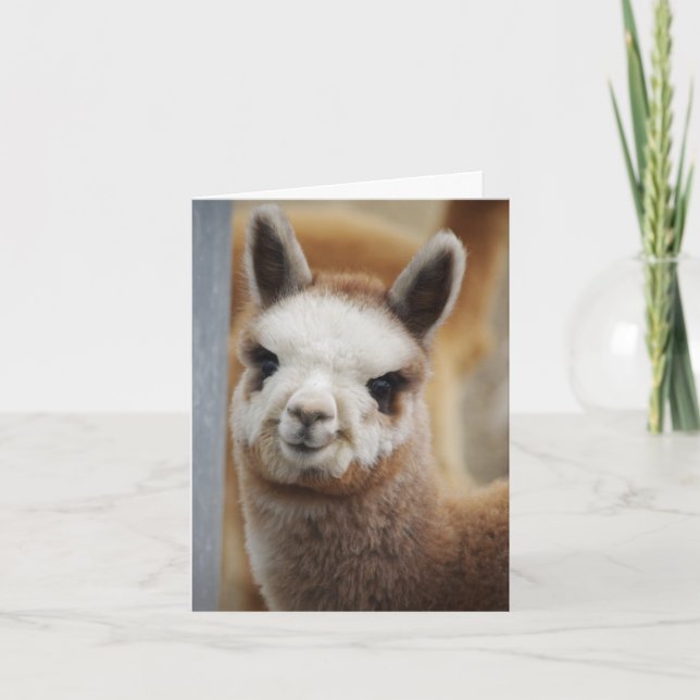 Cute Alpaca Note Card Kort (Framsida)