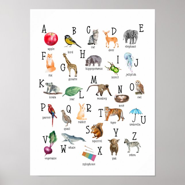 Cute Alphabet ABC Education Poster (Framsidan)