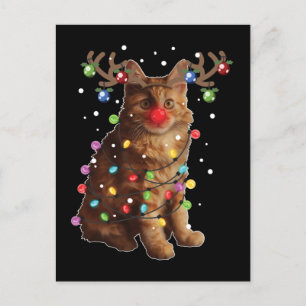 Cute American Bobtail Cat-julgåvor Helgdag Vykort