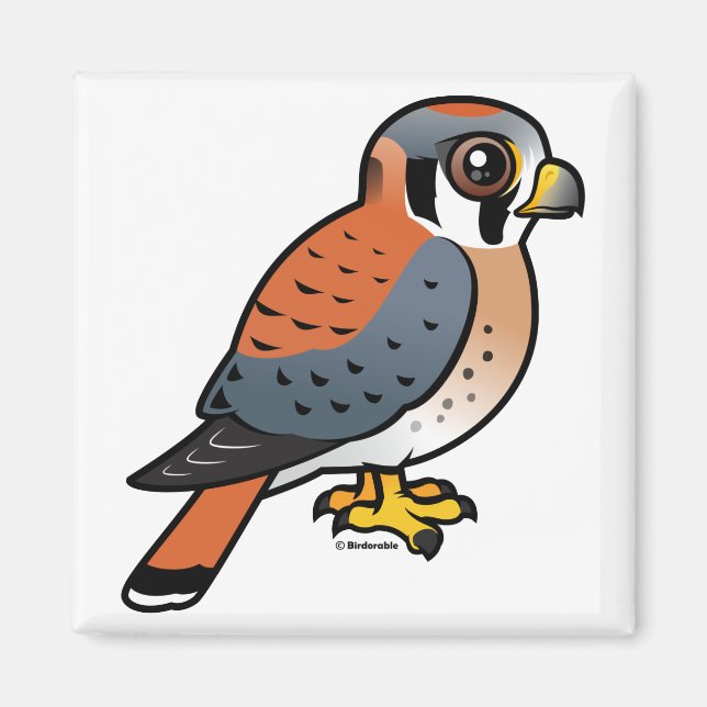 Cute American Kestrel Magnet (Framsidan)