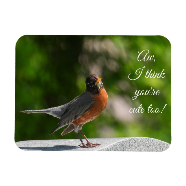 Cute American Robin *anpassa* Magnet (Horisontell)