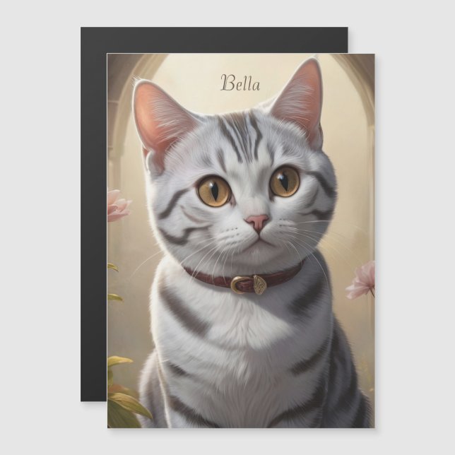 Cute American Shorthair Cat med Big Ögon (Fram/baksida)