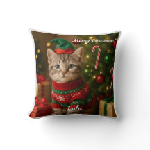 Cute American Shorthair Cat-Personligen, jul