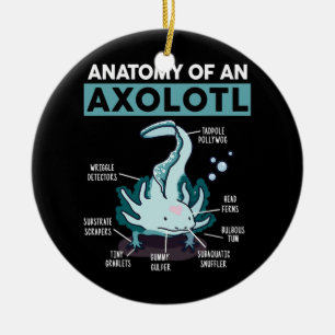 Cute anatomi hos en Axolotl Salamander Julgransprydnad Keramik