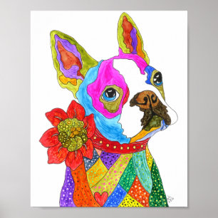 Cute and Colorful Boston Terrier-Poster - 8" x 10" Poster