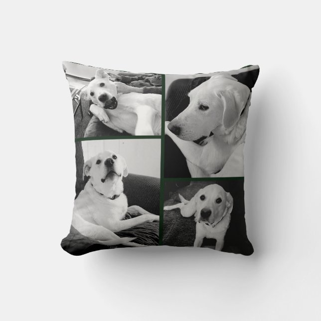 Cute and Funny Black and White Dog Photos Green   Kudde (Framsida)