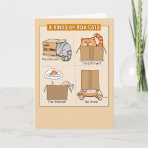 Cute and Funny Cats i Boxes Birthday Kort