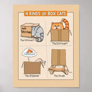 Cute and Funny Cats i Boxes Poster