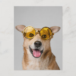 cute and funny dog with glasses  vykort