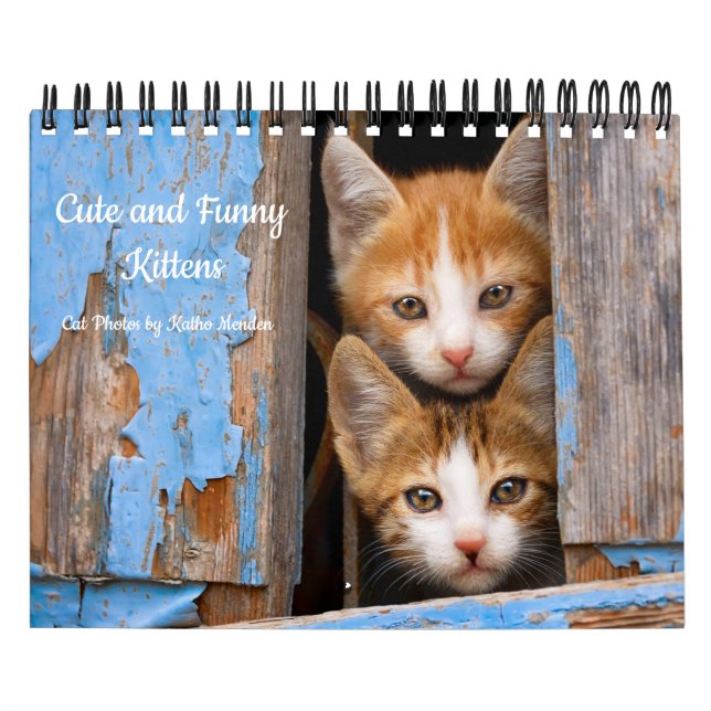Cute and Funny Kittens Cat Photo — Kalender (Omslag)