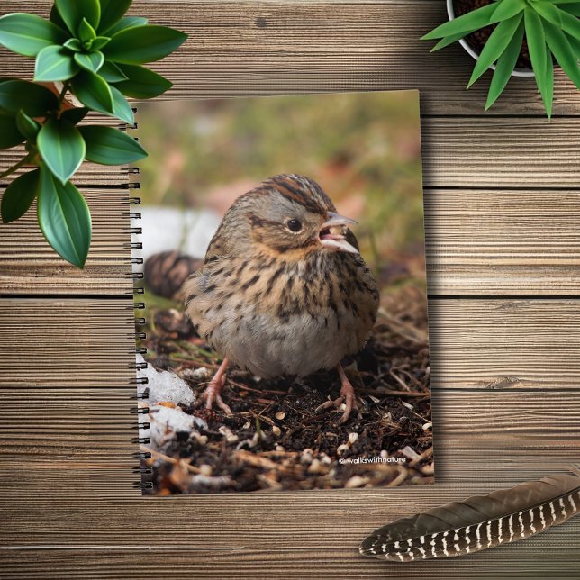 Cute and Spunky Lincoln's Sparrow Anteckningsbok (Spunky Lincoln's Sparrow in the Snow Journal Cover Photo)