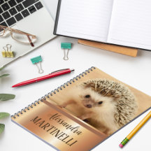 Cute Animal for Girls Hedgehog School