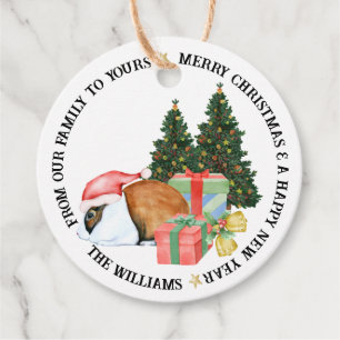 Cute Animal Illustrations God jul Gift Gåvor Etiketter