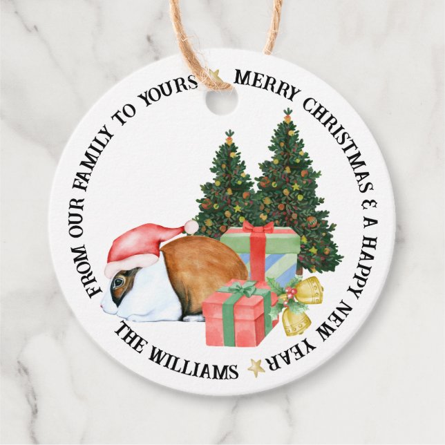 Cute Animal Illustrations God jul Gift Gåvor Etiketter (Framsida)