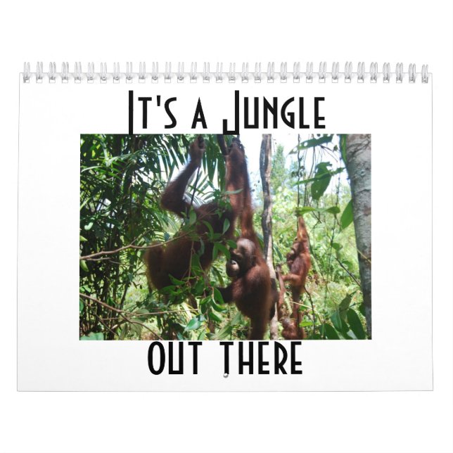 Cute Animal Photography Orangutan Calendar Kalender (Omslag)