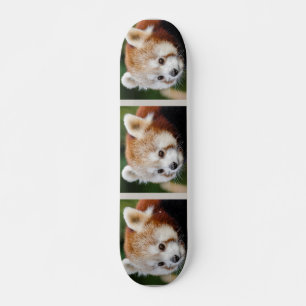 Cute Animal Red Panda Mini Skateboard Bräda 18,5 Cm