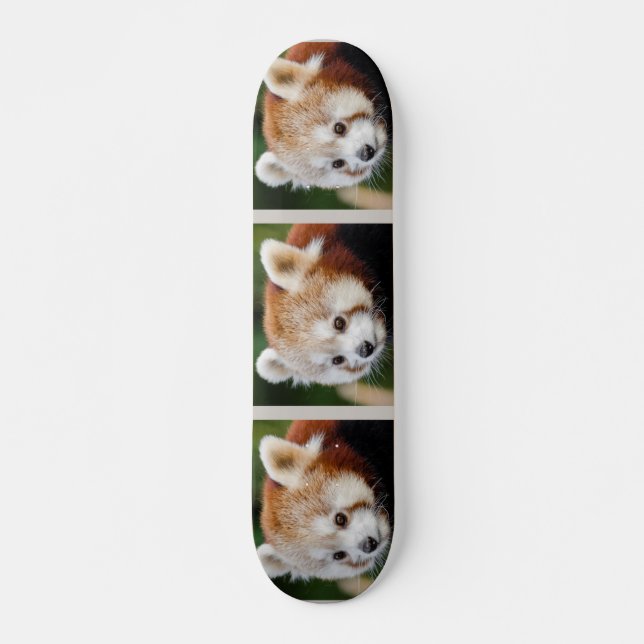 Cute Animal Red Panda Mini Skateboard Bräda 18,5 Cm (Framsida)