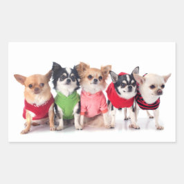 Cute Animals Rektangulärt Klistermärke