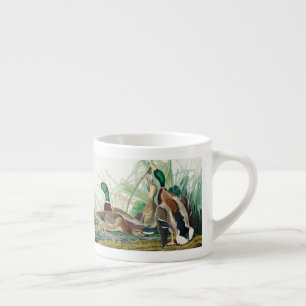 Cute Anka från amerikanska fåglar (Audubon) Espressomugg