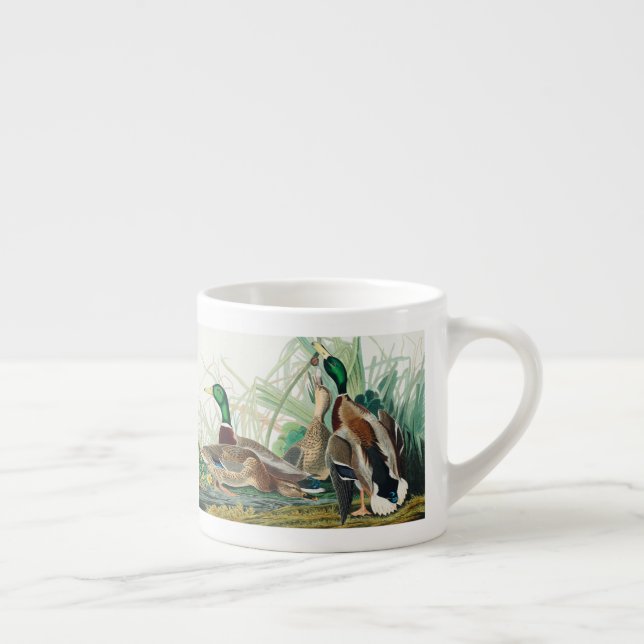 Cute Anka från amerikanska fåglar (Audubon) Espressomugg (Höger)