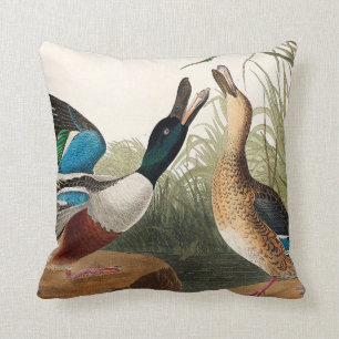 Cute Anka från amerikanska fåglar (Audubon) Kudde