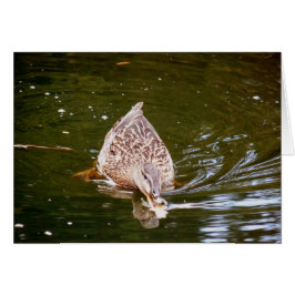 Cute Anka Matar Hälsningskort