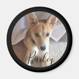 Cute Anpassningsbar Hund Pet Photo Namn Magnet