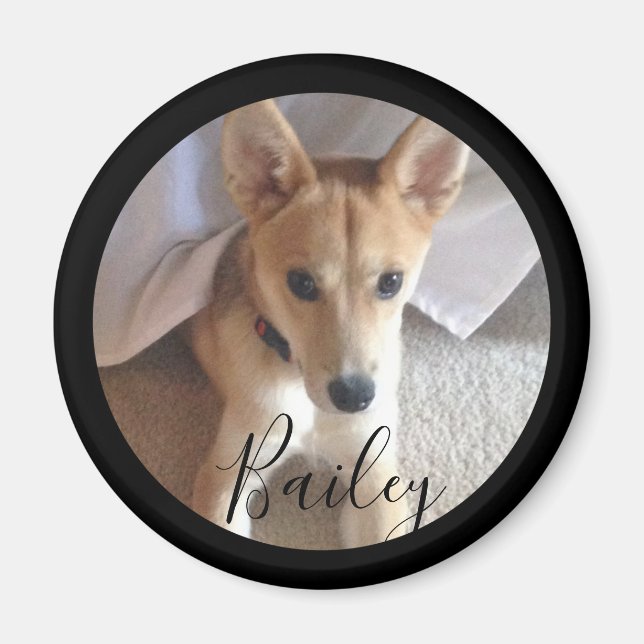Cute Anpassningsbar Hund Pet Photo Namn Magnet (Framsidan)