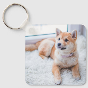 Cute Anpassningsbar Photo Pet Hund Namn Nyckelring