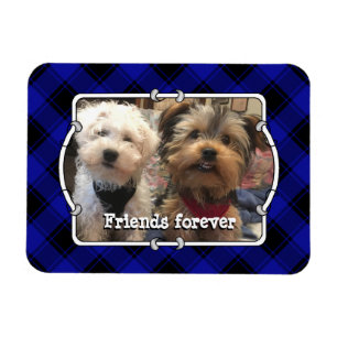 Cute Anpassningsbar Photo Ram Pets Blue & Black Pl Magnet