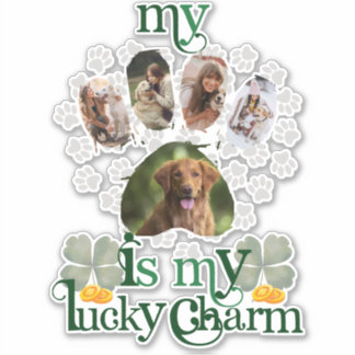 Cute Anpassningsbar Tass Photos Hund St patrick's Klistermärken