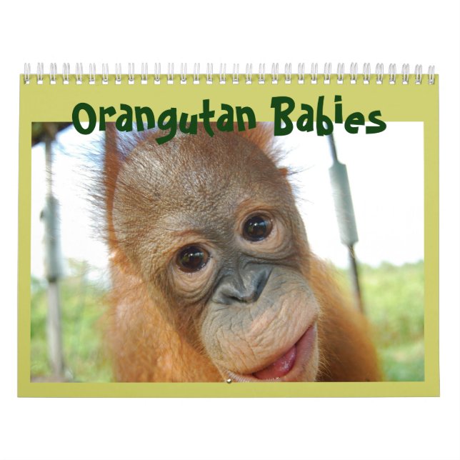 Cute apor Orangutan Wildlife Kalender (Omslag)