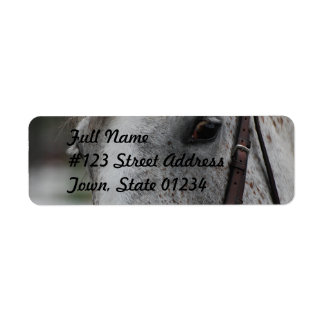 Cute Appaloosa Horse Mailing Label Returadress Etikett
