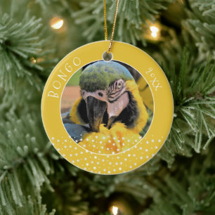 Cute Ara Pet Parrot Photo Star Gult jul Julgransprydnad Keramik
