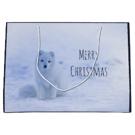 Cute Arctic Fox on Snowy Winter Background