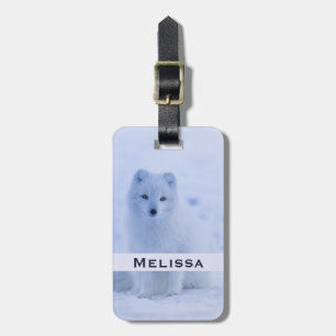 Cute Arctic Fox on Snowy Winter Background Bagagebricka