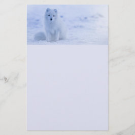 Cute Arctic Fox on Snowy Winter Background Brevpapper