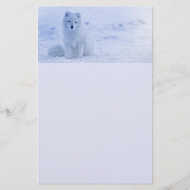 Cute Arctic Fox on Snowy Winter Background Brevpapper (Framsida)