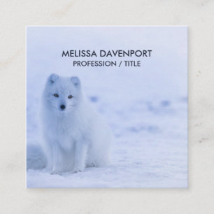 Cute Arctic Fox on Snowy Winter Background Fyrkantigt Visitkort