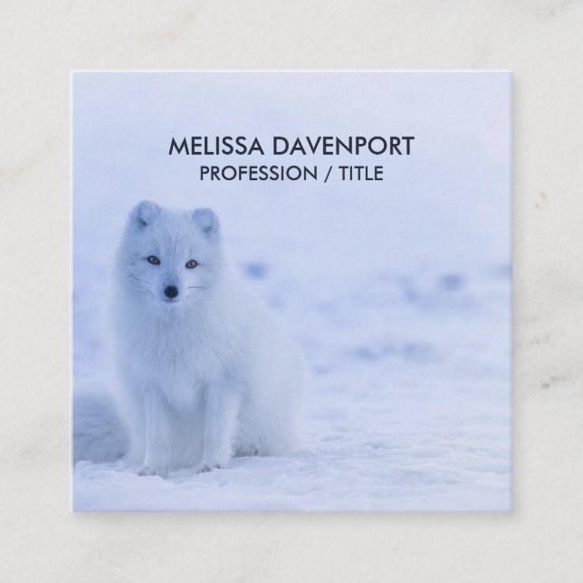 Cute Arctic Fox on Snowy Winter Background Fyrkantigt Visitkort (Framsida)