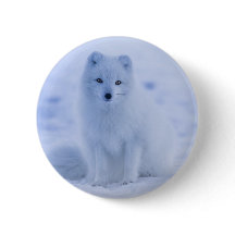 Cute Arctic Fox on Snowy Winter Background