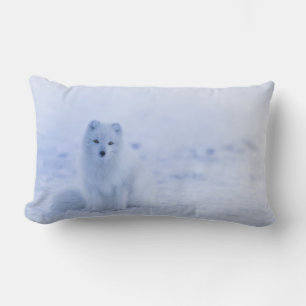 Cute Arctic Fox on Snowy Winter Background Lumbarkudde