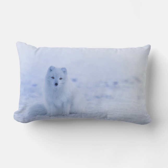 Cute Arctic Fox on Snowy Winter Background Lumbarkudde (Framsida)