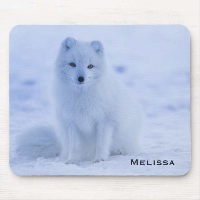 Cute Arctic Fox on Snowy Winter Background Musmatta (Framsidan)